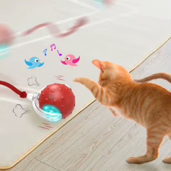 Jouet Pour Chat | Balvy™