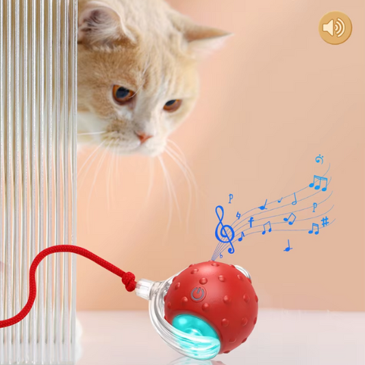 Jouet Pour Chat | Balvy™