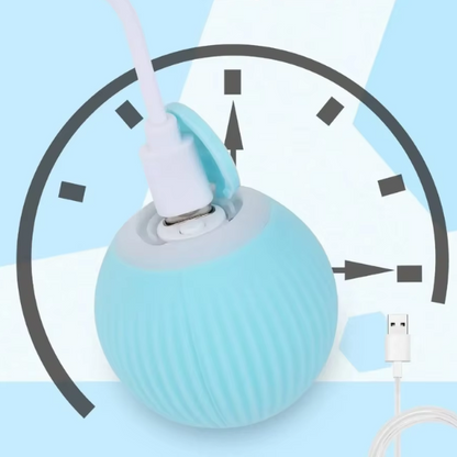 Jouet pour Chat | InterBal™