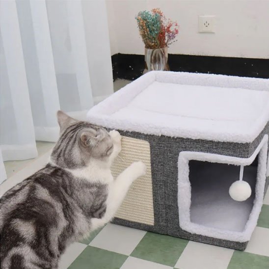 Maison pour chat | Kubed™