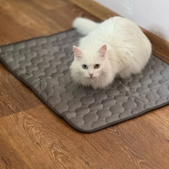 Tapis rafraichissant chat | Cooldy™