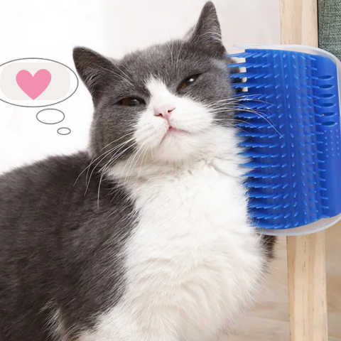 Brosse pour chat | Picksy™