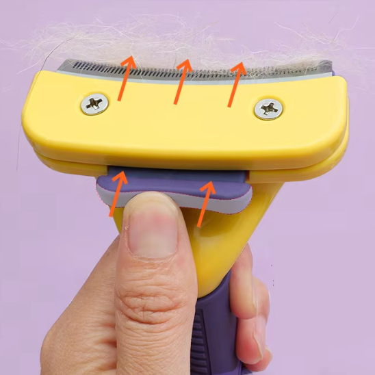 Brosse pour chat | Rakhi™