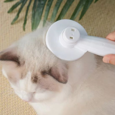 Brosse pour Chat | Nessy™ - Ambiance chat