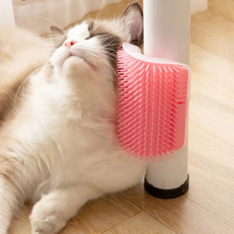 Brosse pour chat | Picksy™