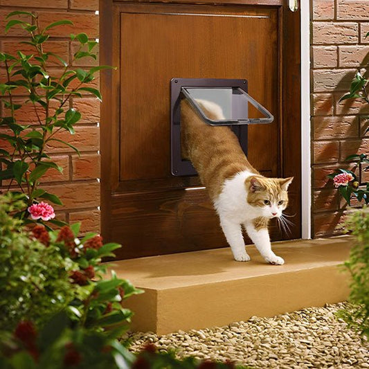 Chatiere | Quikly™ - Ambiance chat