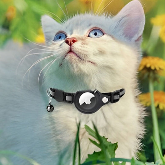 Collier gps Chat | Locaty™