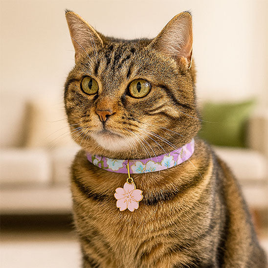 Collier pour chat | Saky™