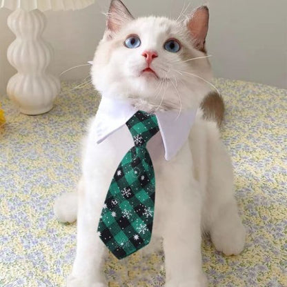 Collier pour Chat | Klasy™