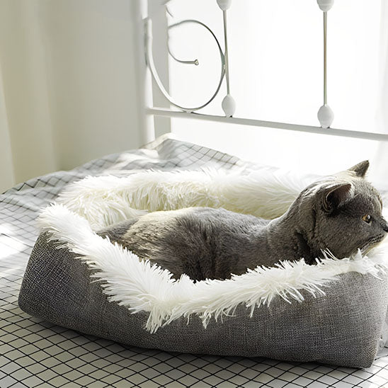 Coussin pour Chat | Bendy™ - Ambiance chat