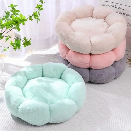 Coussin pour Chat | Doussy™
