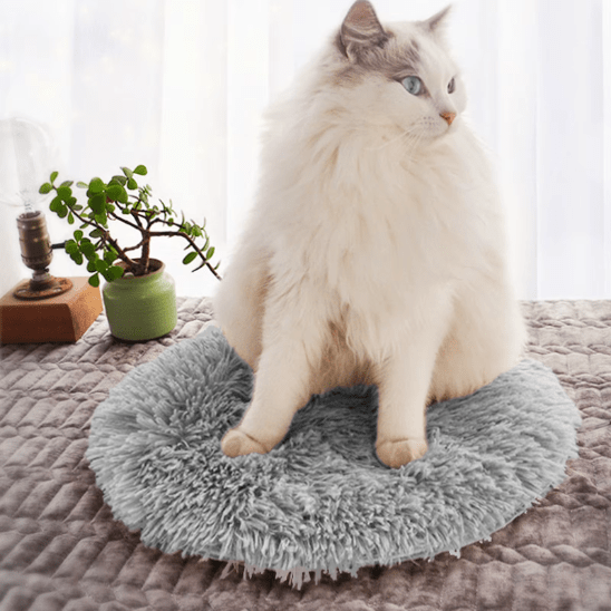 Coussin pour chat | Coussino™ - Ambiance chat