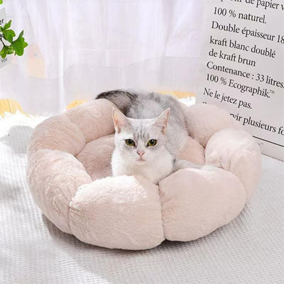Coussin pour Chat | Doussy™