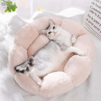 Coussin pour Chat | Doussy™
