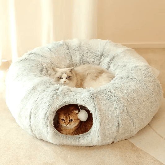 Coussin pour chat | Dodly™ - Ambiance chat