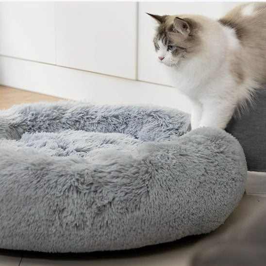 Coussin Pour Chat | Doumy™ - Ambiance chat