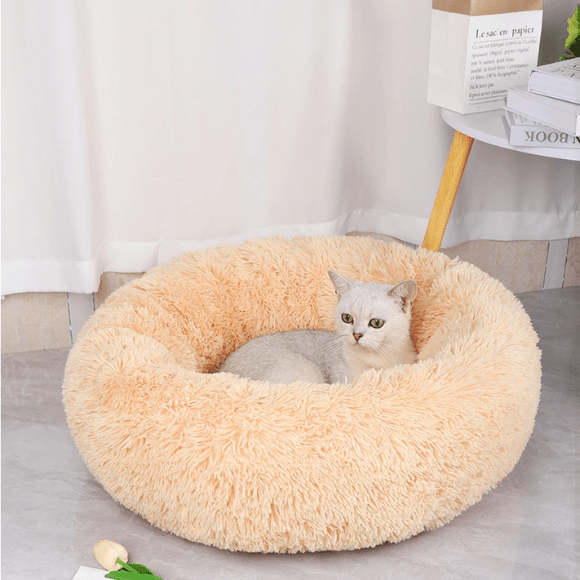 Coussin Pour Chat | Doumy™ - Ambiance chat