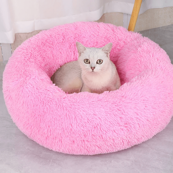 Coussin Pour Chat | Doumy™ - Ambiance chat