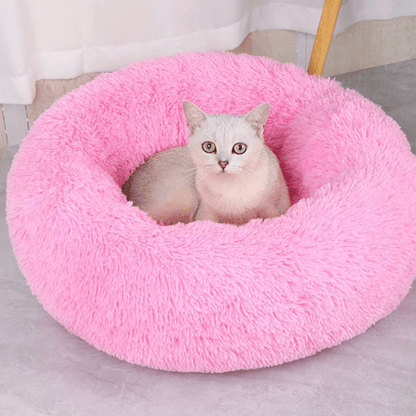 Coussin Pour Chat | Doumy™ - Ambiance chat