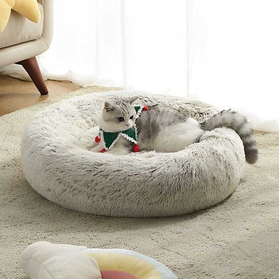 Coussin Pour Chat | Doumy™ - Ambiance chat