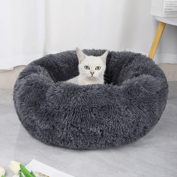 Coussin Pour Chat | Doumy™ - Ambiance chat