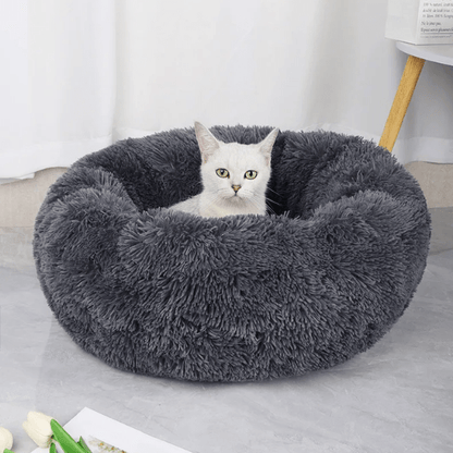 Coussin Pour Chat | Doumy™ - Ambiance chat
