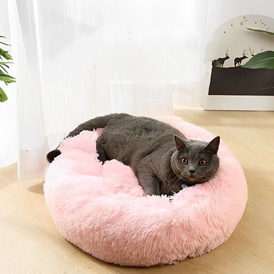 Coussin Pour Chat | Doumy™ - Ambiance chat