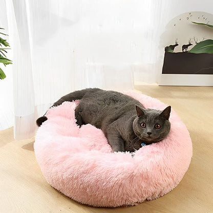 Coussin Pour Chat | Doumy™ - Ambiance chat