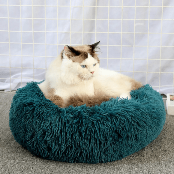 Coussin Pour Chat | Doumy™ - Ambiance chat