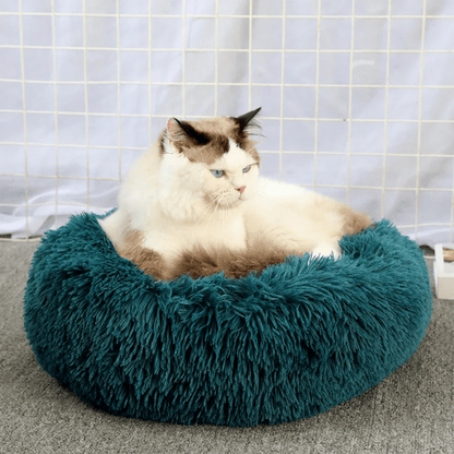 Coussin Pour Chat | Doumy™ - Ambiance chat