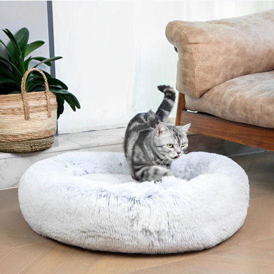 Coussin Pour Chat | Doumy™ - Ambiance chat