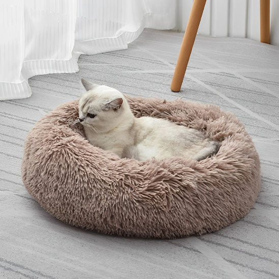 Coussin Pour Chat | Doumy™ - Ambiance chat