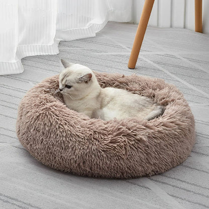 Coussin Pour Chat | Doumy™ - Ambiance chat