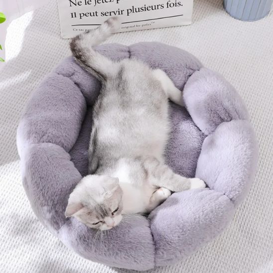 Coussin pour Chat | Doussy™