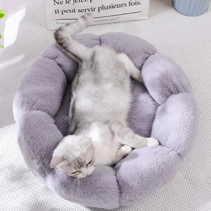 Coussin pour Chat | Doussy™