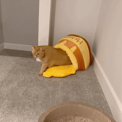 Coussin Pour Chat | Honny™ - Ambiance chat