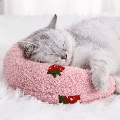 Coussin pour Chat | Louny™ - Ambiance chat