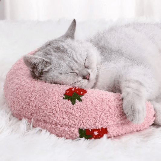 Coussin pour Chat | Louny™ - Ambiance chat