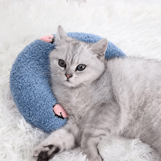 Coussin pour Chat | Louny™ - Ambiance chat