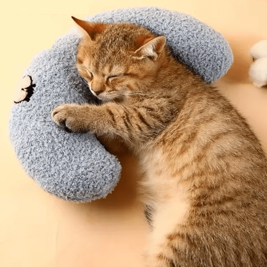 Coussin pour Chat | Louny™ - Ambiance chat