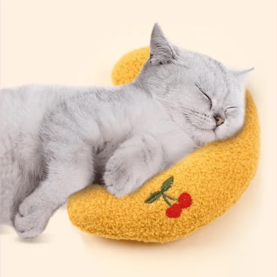 Coussin pour Chat | Louny™ - Ambiance chat