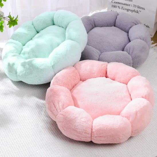 Coussin pour Chat | Doussy™