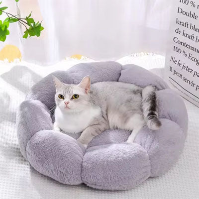Coussin pour Chat | Doussy™