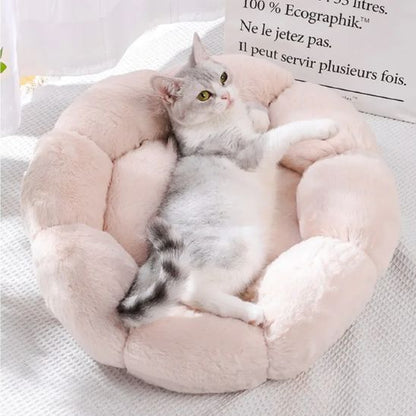 Coussin pour Chat | Doussy™
