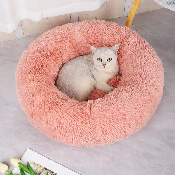 Coussin Pour Chat | Doumy™