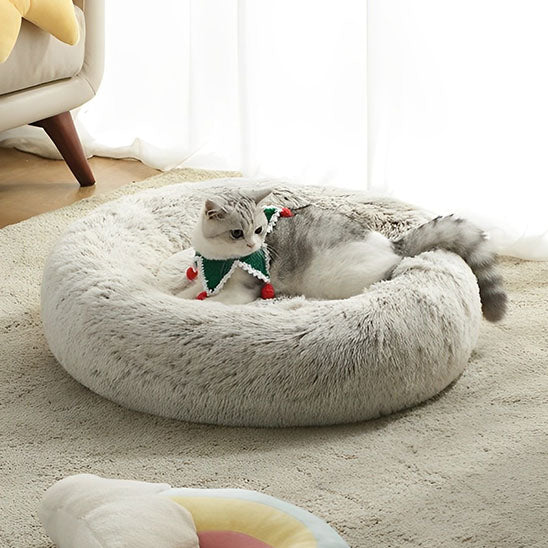 Coussin Pour Chat | Doumy™