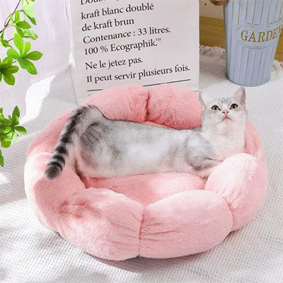 Coussin pour Chat | Doussy™