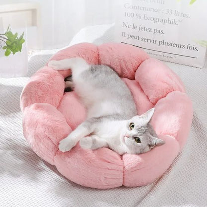 Coussin pour Chat | Doussy™