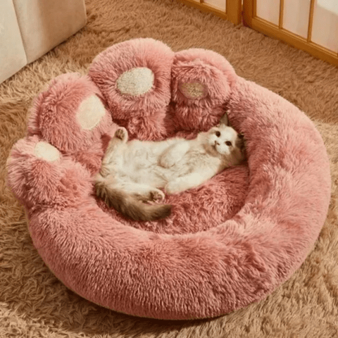 Coussin pour chat | Softy™ - Ambiance chat