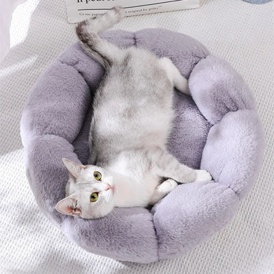 Coussin pour Chat | Doussy™